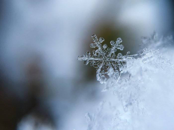 Snowflake frozen